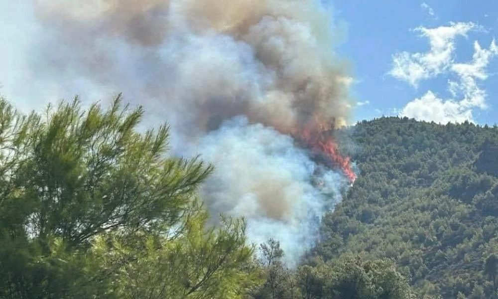 Φωτιά-Ξυλόκαστρο: Μήνυμα του 112 στην περιοχή Ρεζενά-«Παραμείνετε σε ετοιμότητα» (Βίντεο)